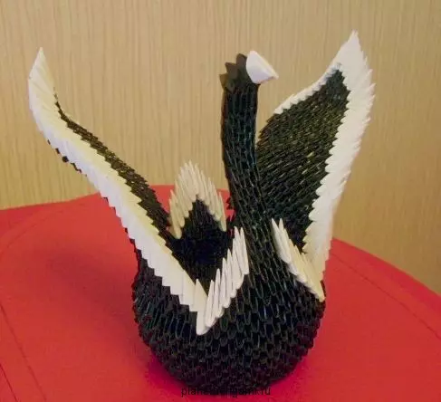 Ubuciko obuvela kumamojula we-origami: izilwane ezinkulu kanye ne-swan nge-mk nevidiyo