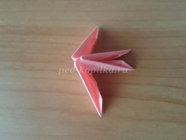 Cov khoom siv tes los ntawm Origami Modules: cov tsiaj loj thiab swan nrog MK thiab video