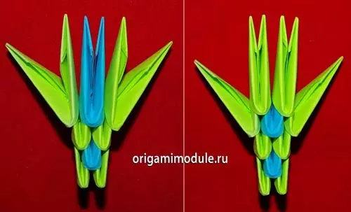 Peacock dari Modul Origami: Skema Majelis dengan MK dan Video