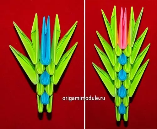 ក្ងោកពីម៉ូឌុល Origami: គ្រោងការណ៍សន្និបាតជាមួយ MK និងវីដេអូ