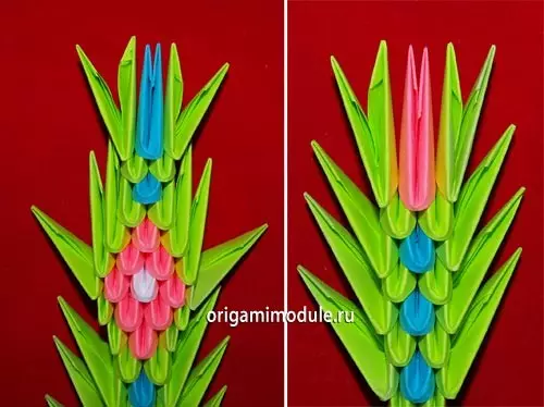 Peacock út Origami-modules: Assembly-skema mei MK en fideo