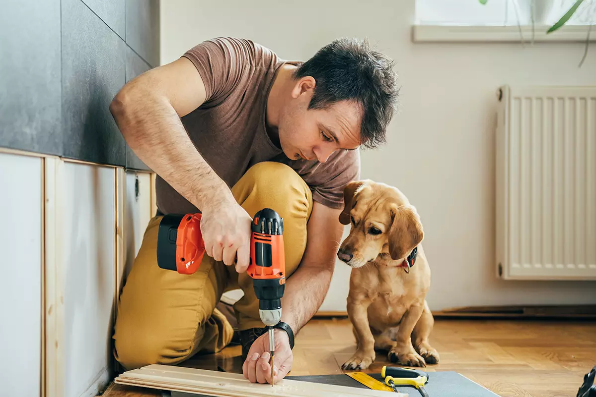 Segreti per animali domestici fatti in casa: come salvare la riparazione fresca?