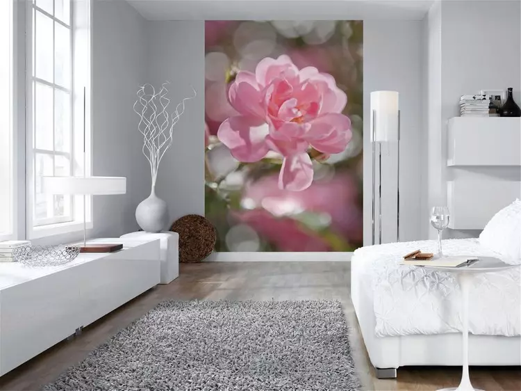 Wall Mural Flowers yn it ynterieur: 100 foto's fan Floral prints oan 'e muorre