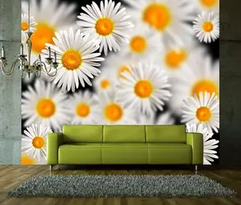 Fotobehang Bloemen in het interieur: 100 foto's van bloemenprints op de muur