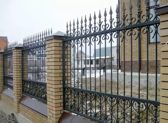 Krivotvorene ograde - opcije dizajna, fotografije ograda i vrata s elementima za kovanje