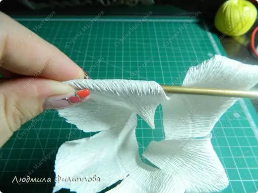 Kuidas teha roosi paberist oma kätega lihtsalt ja etappidega: video koos videoga