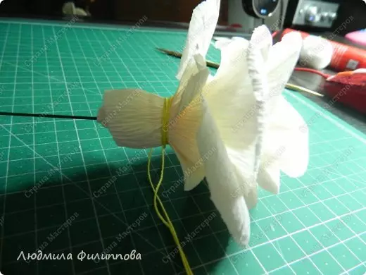 Cara membuat mawar dari kertas dengan tangan Anda sendiri dengan mudah dan tahap: Skema dengan video