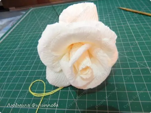Kako napraviti ružu sa papira sa vlastitim rukama i faze: shema sa videom