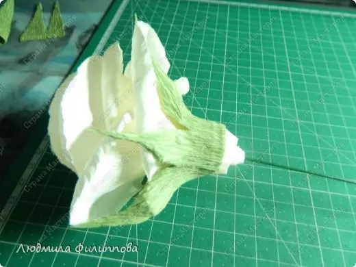 Hoe maak je een roos van papier met je eigen handen gemakkelijk en fasen: schema met video