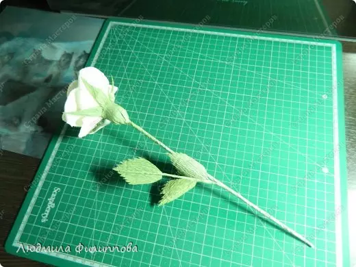 چگونه می توان یک گل رز را از کاغذ با دست خود به راحتی و مراحل به دست آورد: طرح با ویدیو