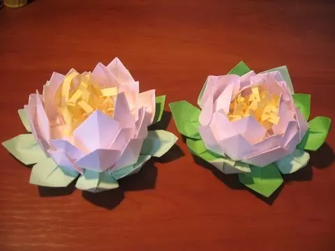 Como fazer uma flor de papel com suas próprias mãos: instrução com fotos e vídeos