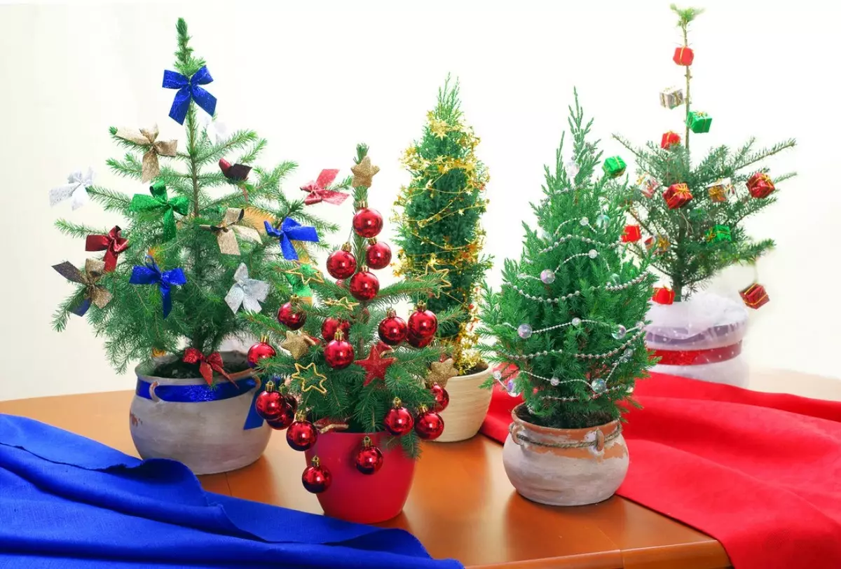 Kako zamenjati božično drevo v notranjosti za novo leto?