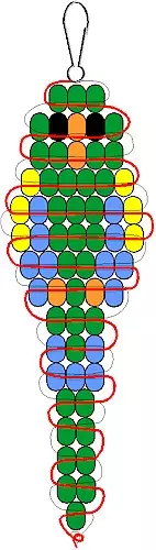 來自初學者珠子的動物方案：主類與照片和視頻