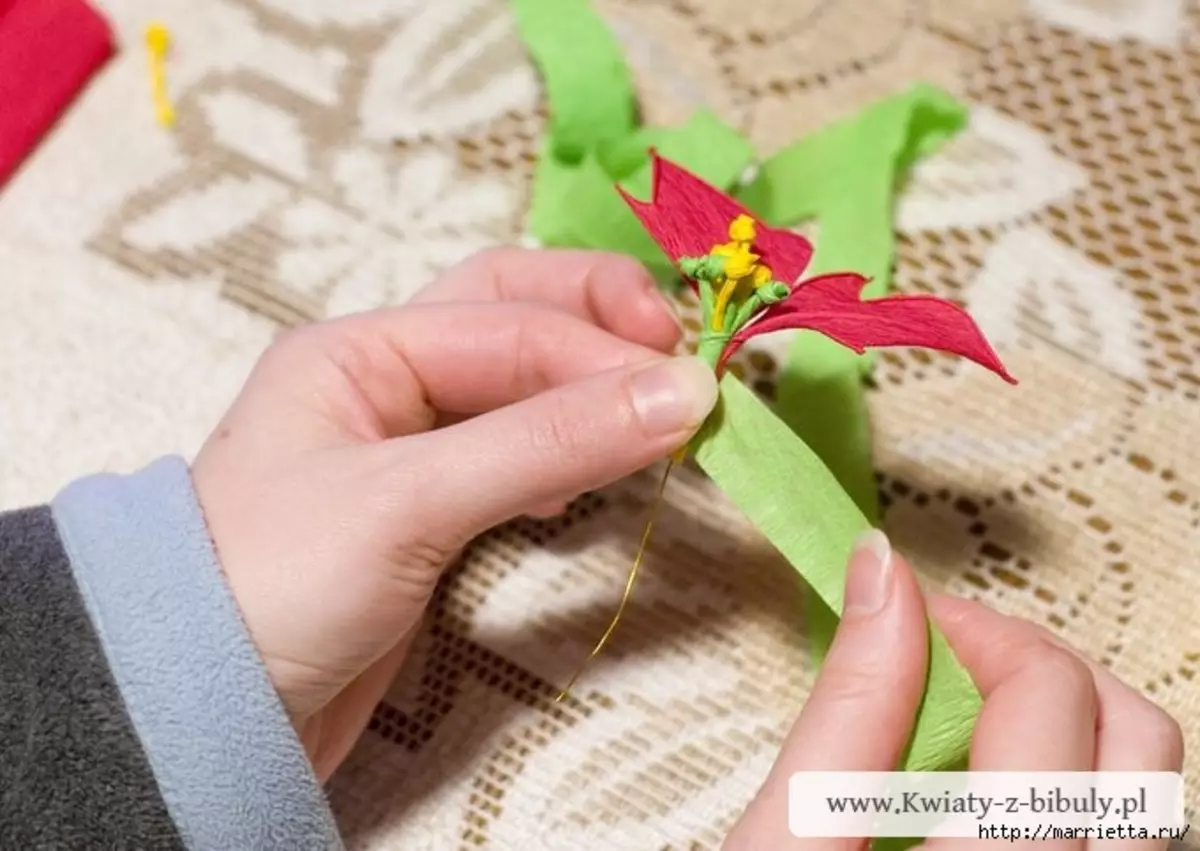 Ang Bituon sa Pasko - Poinsettia gikan sa papel