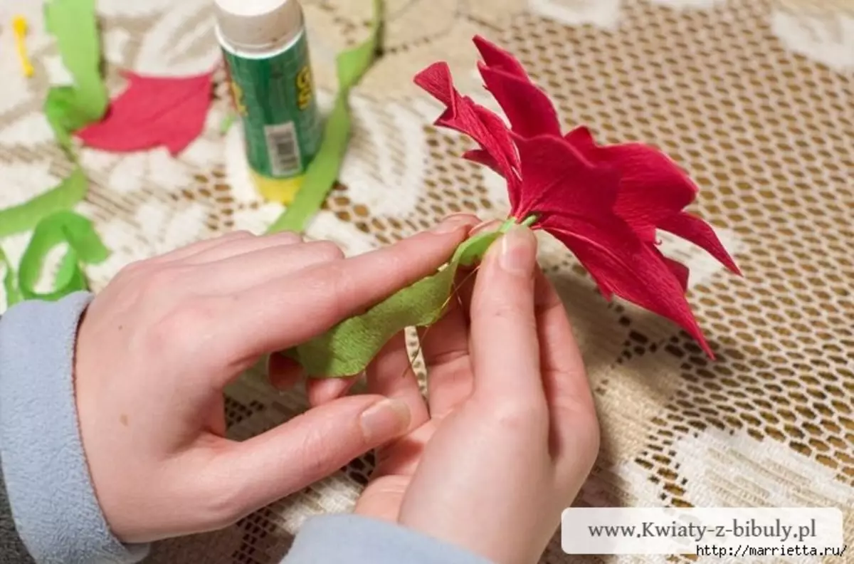 క్రిస్మస్ స్టార్ - కాగితం నుండి poinsettia