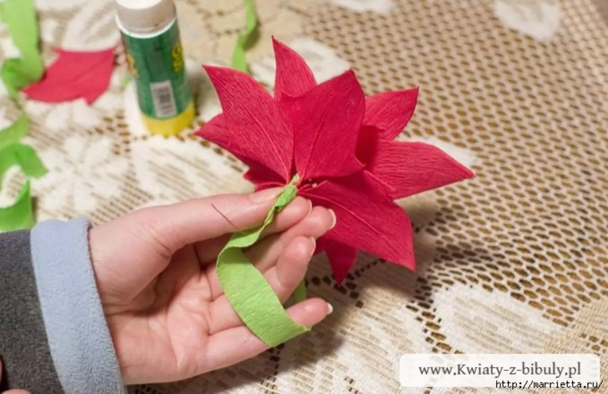 Ang Bituon sa Pasko - Poinsettia gikan sa papel