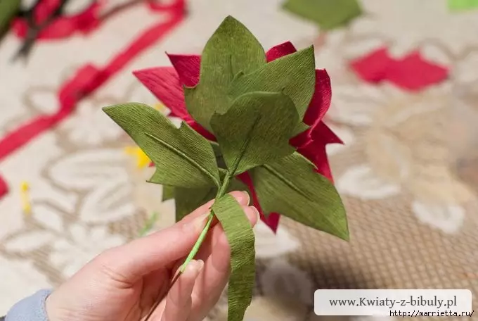 Estrela de Nadal - Poinsettia do papel