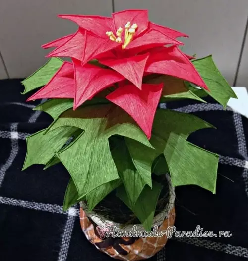 כוכב חג המולד - Poinsettia מנייר