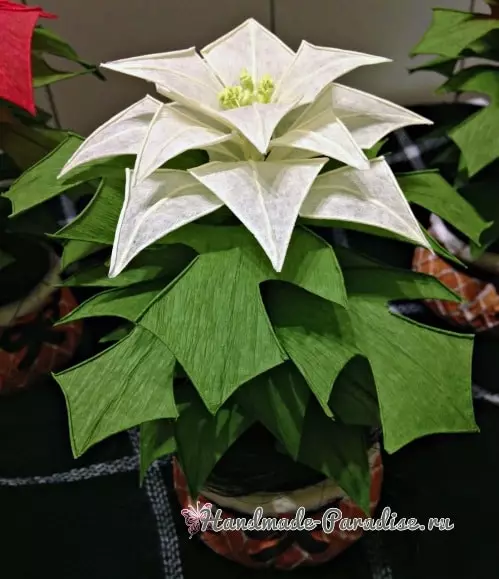 Christmas Star - Poinsettia mula sa Papel