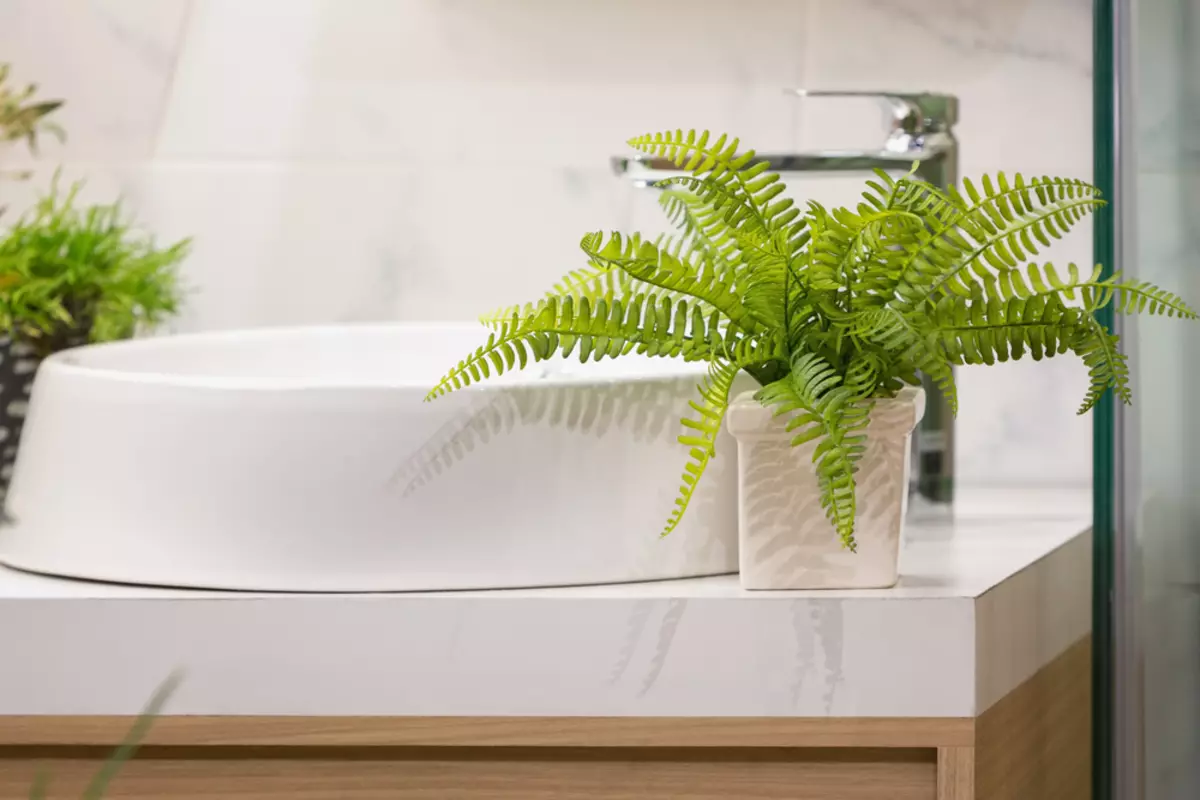 [Biljke u kući] 6 biljaka koje se mogu staviti čak iu kupaonicu
