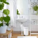 [Rastliny v dome] 6 rastlín, ktoré môžu byť umiestnené aj v kúpeľni
