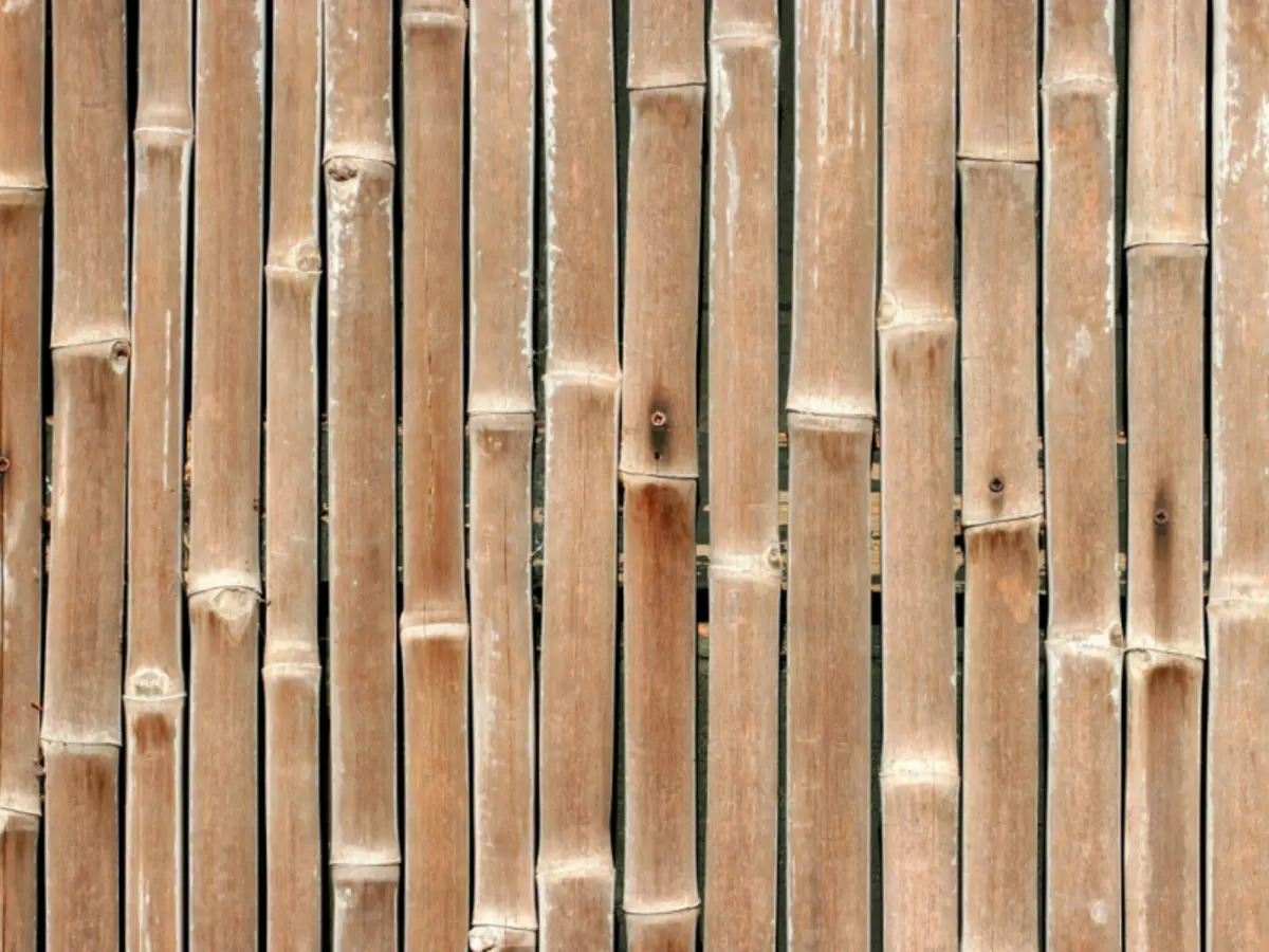 Bamboo-doek foar muorren lykas lijm (foto en fideo)