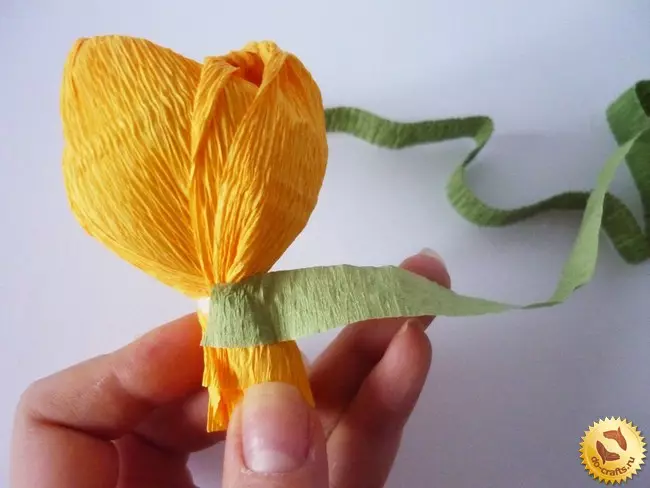 Jak zrobić tulipan papieru z własnymi rękami
