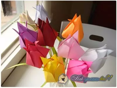 How to make a tulip of paper with your own hands