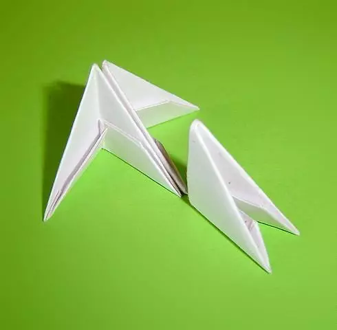 Schemes of modular origami for beginners: Peacock, dragon and cat