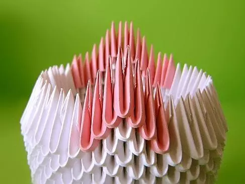 Skemoj de modula origami por komencantoj: Peacock, Drako kaj Kato