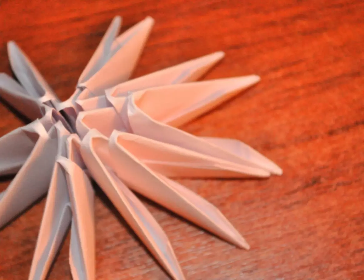 Origami แบบแยกส่วนสำหรับผู้เริ่มต้น: แจกันและหงส์ในบทเรียนวิดีโอ