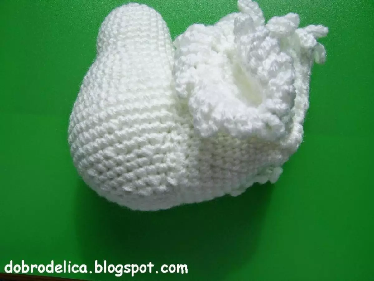 វិធីចង crochet សត្វព្រាប