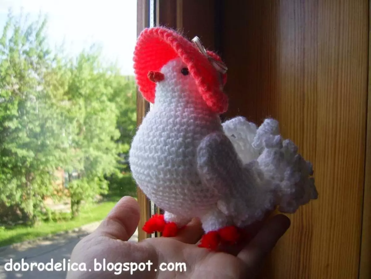 როგორ გვაკავშირებს Pigeon Crochet