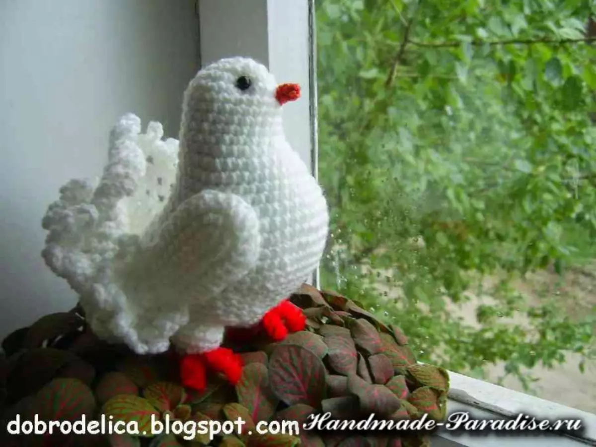 Giunsa Paghigot ang usa ka Pigeon Crochet