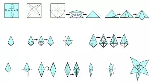 Paperoplasty: ລະບົບສໍາລັບຜູ້ເລີ່ມຕົ້ນແລະສໍາລັບເດັກນ້ອຍທີ່ມີຮູບພາບແລະວີດີໂອ