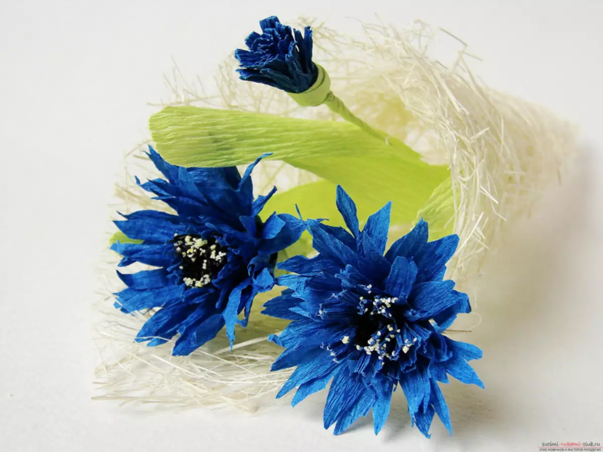 Cornflowers de papel com suas próprias mãos: Master Class Com Modelos