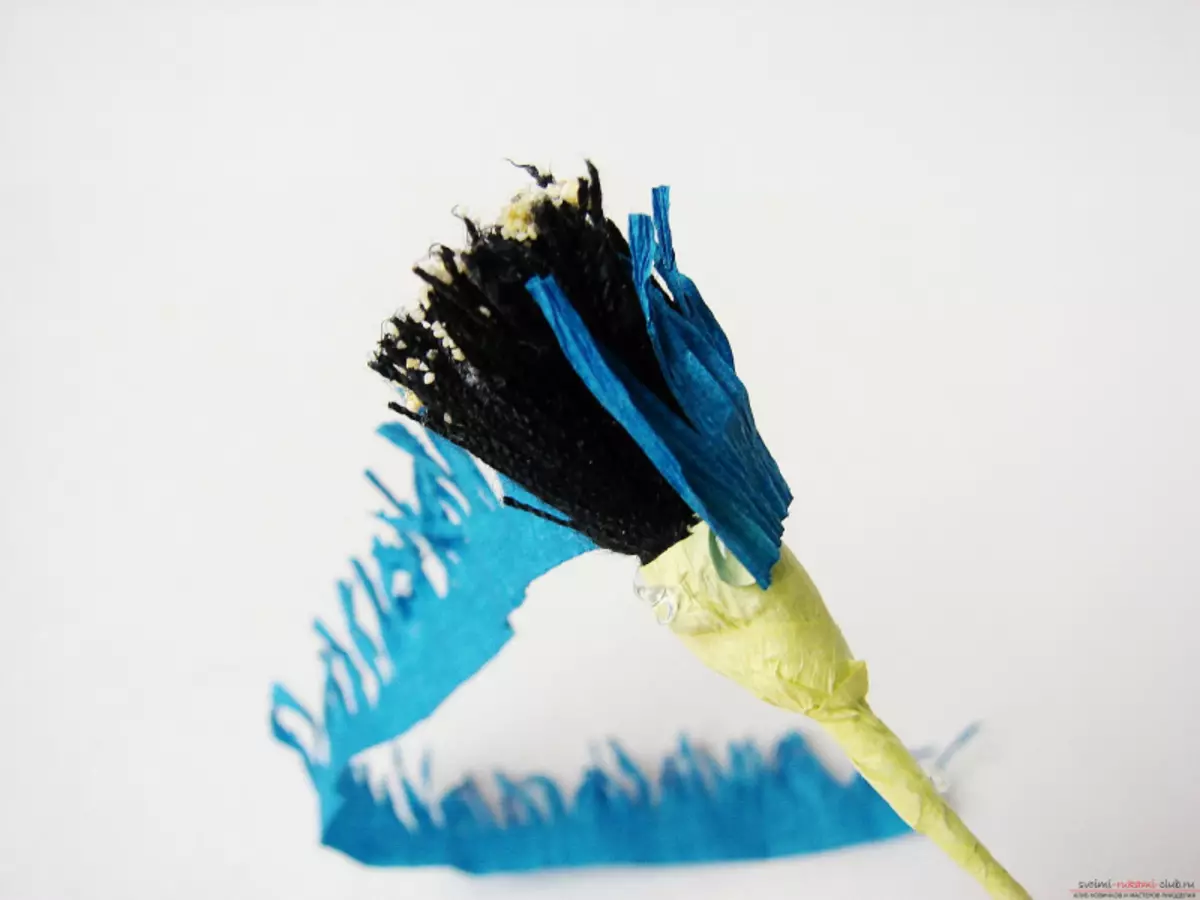 Cornflowers de papel com suas próprias mãos: Master Class Com Modelos