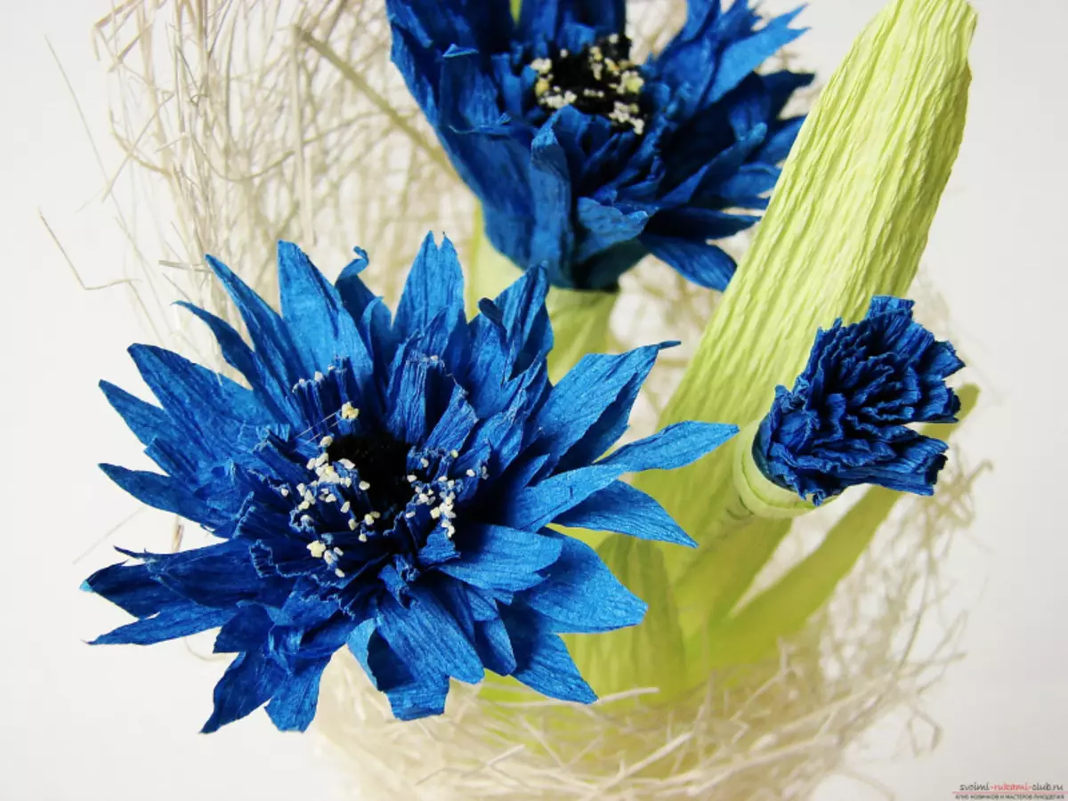 Pepa CornFlowers nemaoko ake: Master kirasi ine templates