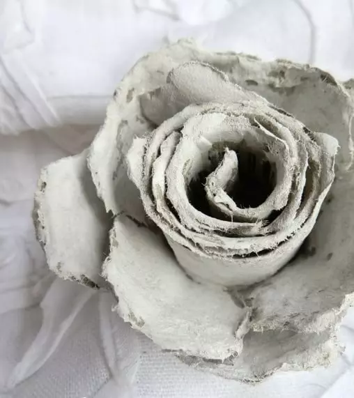 Vintage roser fra ægbakker