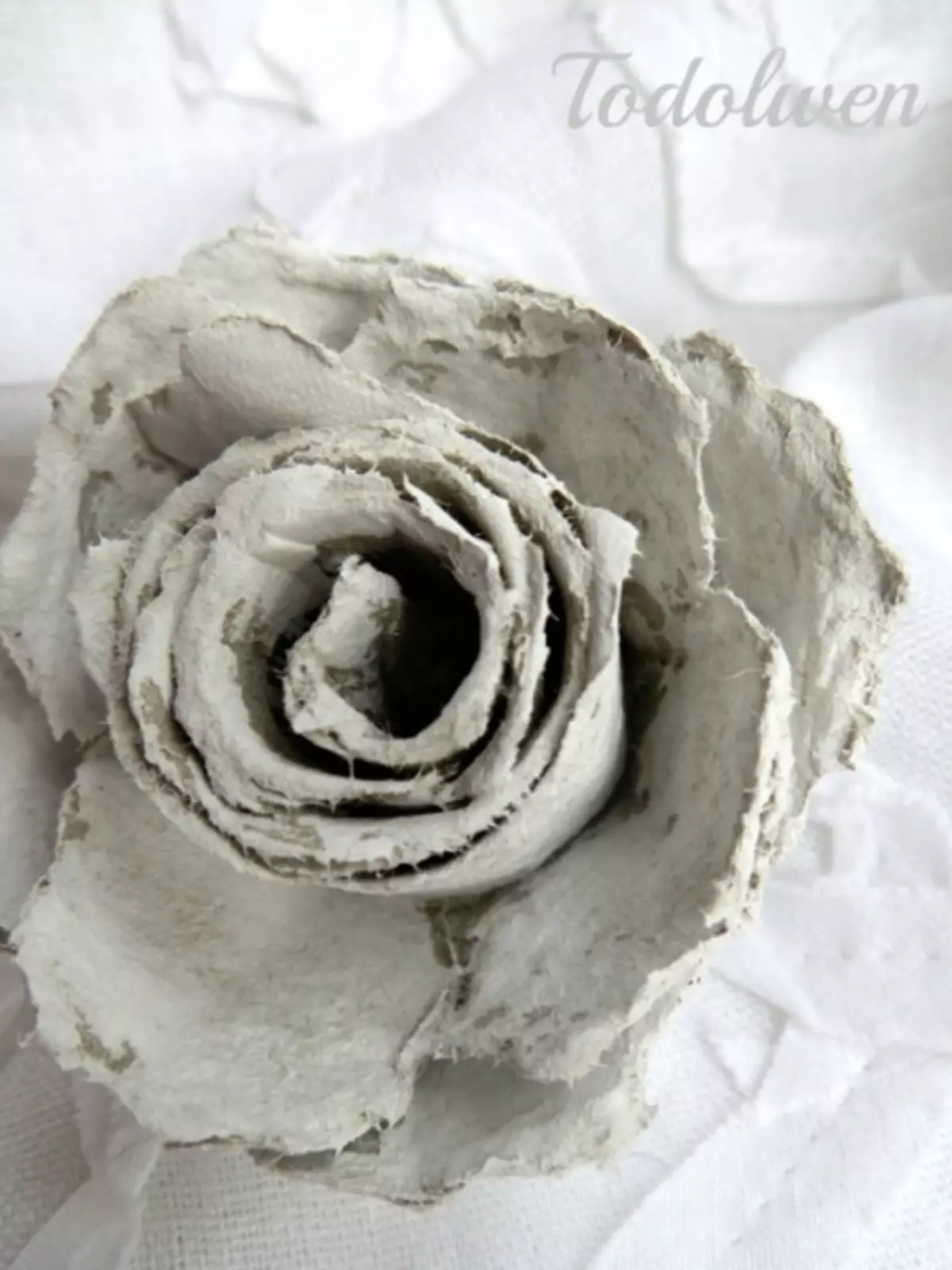 Vintage ruže iz pladnjevih jaja
