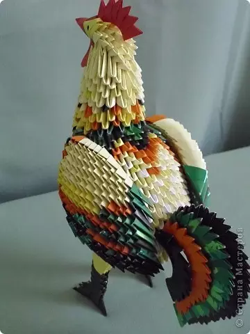 从origami模块的雄鸡：硕士类与照片和视频