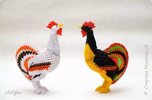 從origami模塊的雄雞：碩士類與照片和視頻