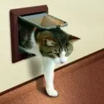 Cat Door: Mhando dzezvipfuyo zvemhuka