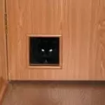 Cat Door: Mhando dzezvipfuyo zvemhuka