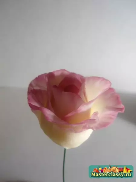 Kelas Master ing China kadhemen: mawar kanggo pamula nganggo foto lan video