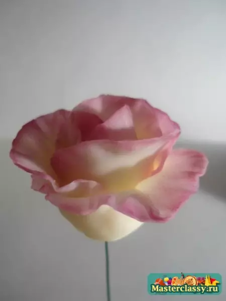 Master class on a cold china: roses for beginners with photos and video