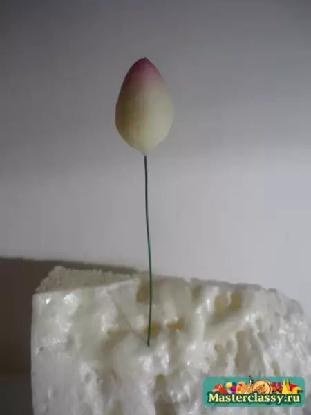 בכיתה אמן בסין קרה: ורדים למתחילים עם תמונות ווידאו