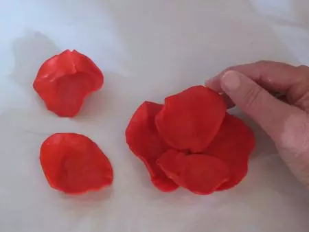 Gėlės iš šalto porceliano su savo rankomis: modeliavimas pradedantiesiems su nuotraukomis ir vaizdo įrašais