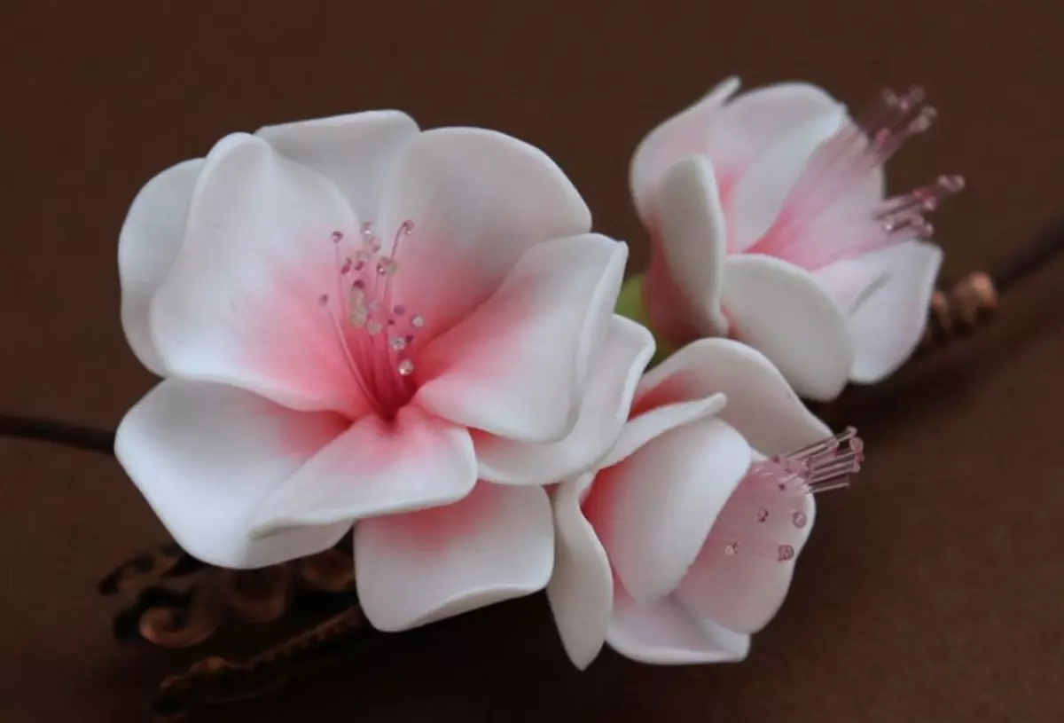 Flores da porcelana fria com suas próprias mãos: modelagem para iniciantes com fotos e vídeos