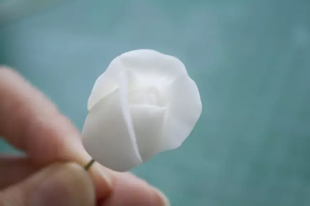 Fleurs de la porcelaine froide avec leurs propres mains: modélisation pour débutants avec photos et vidéo